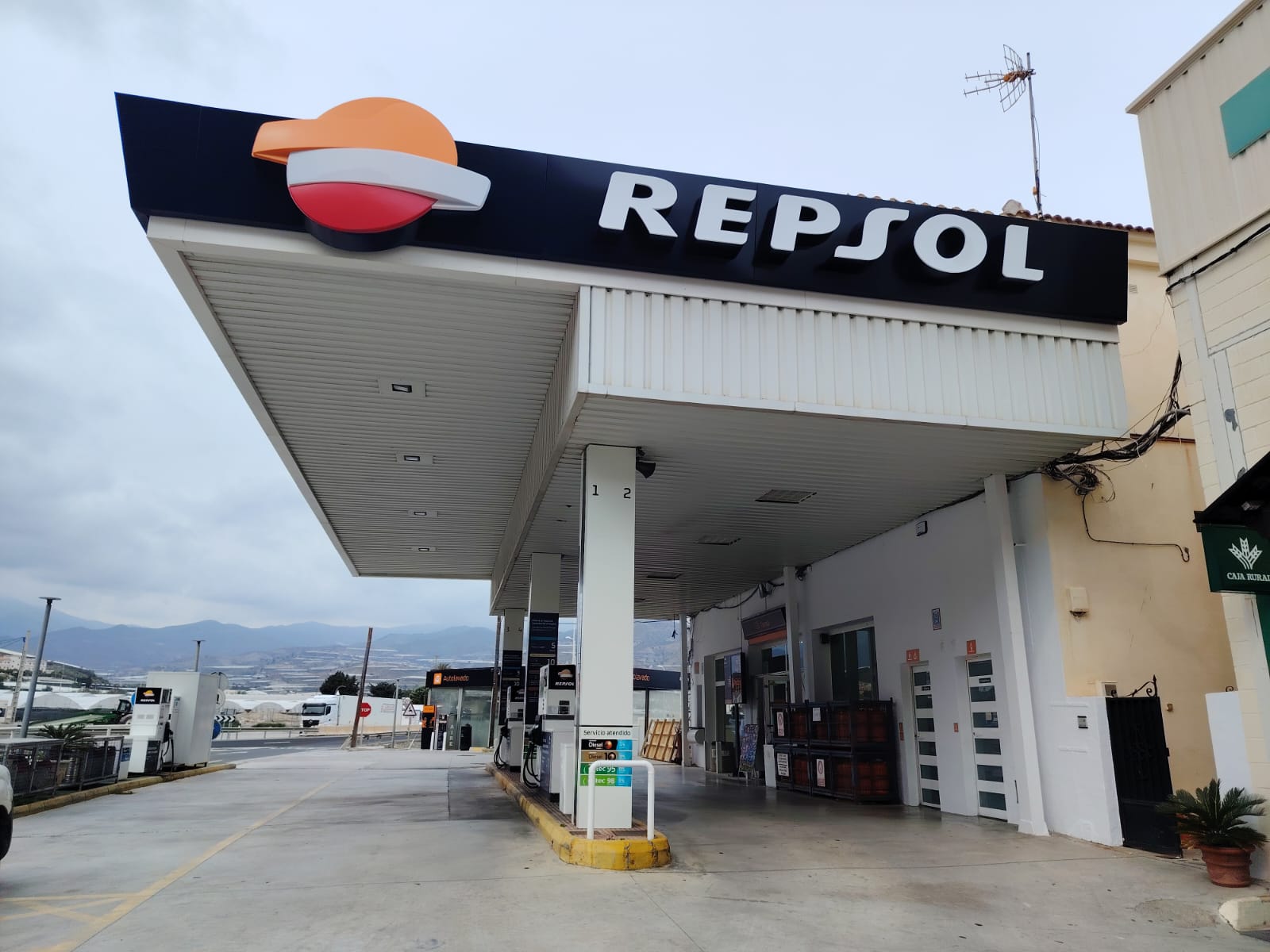 WhatsApp Image 2025-04-03 at 17.22.09 (1)